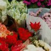 Embrace Spring at BFC: Bund Botanic Market Blooms on SmartShanghai