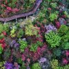 [1 Day Trip: Yuhang] Floral Symphony, Mt. Luniao's Azelea Paradise on SmartShanghai