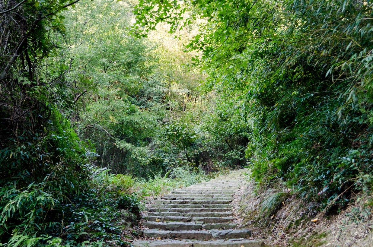 Shangqing