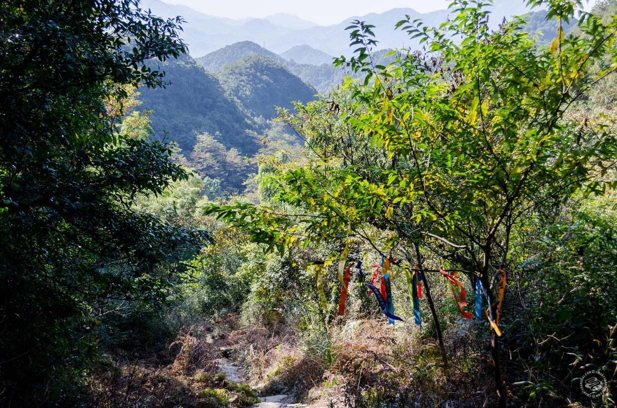 Shangqing