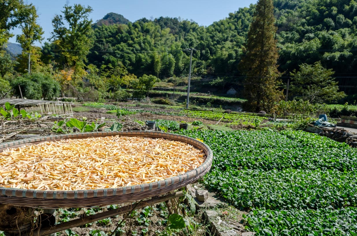 Shangqing
