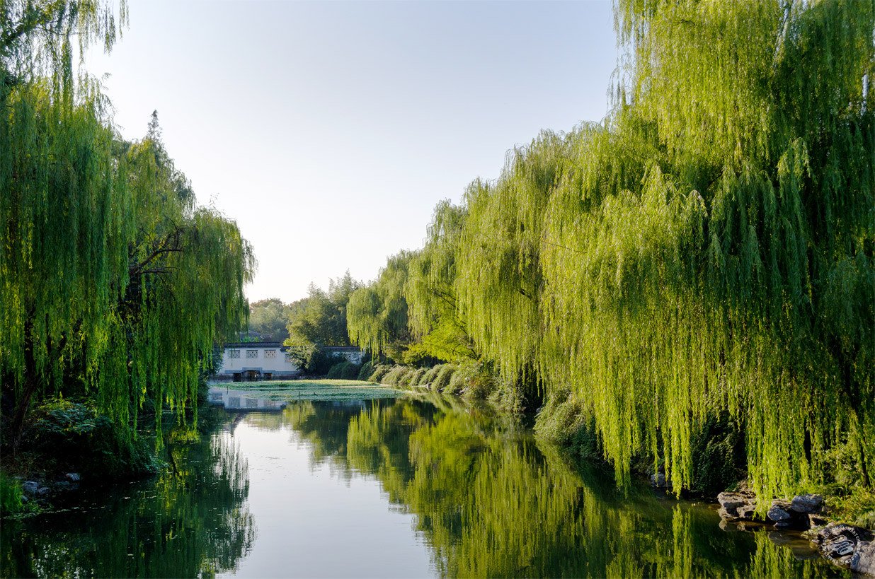Shaoxing