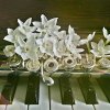 Shanghai Symphony Orchestra in Chamber 12: Youth on SmartShanghai