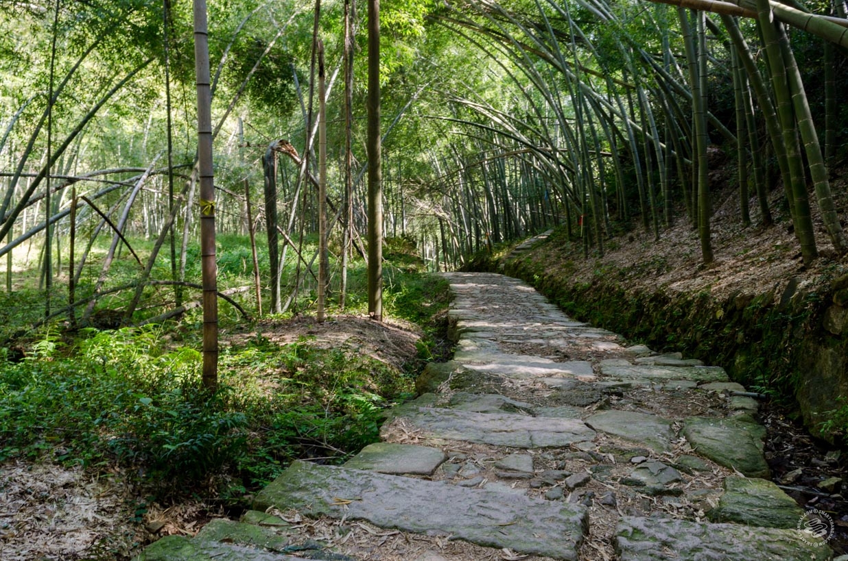 Shangqing