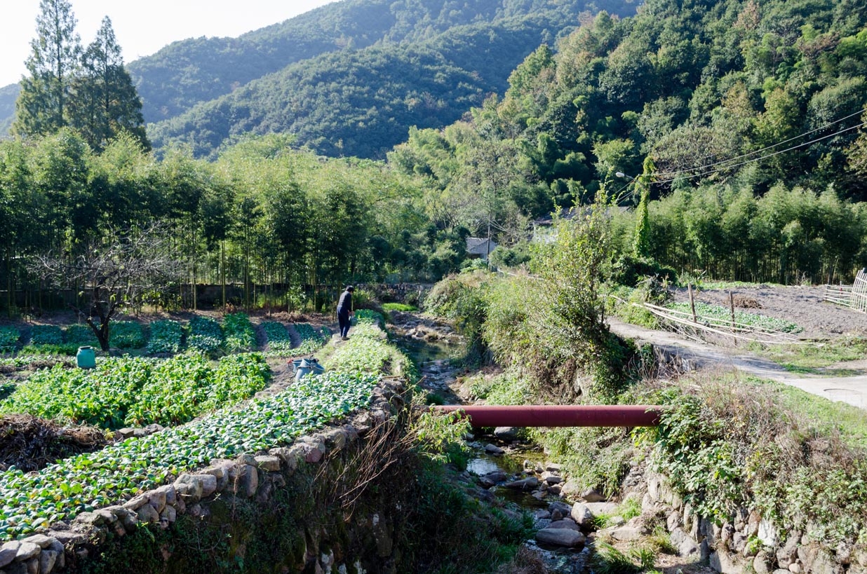 Shangqing