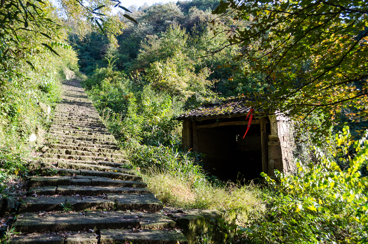 Shangqing