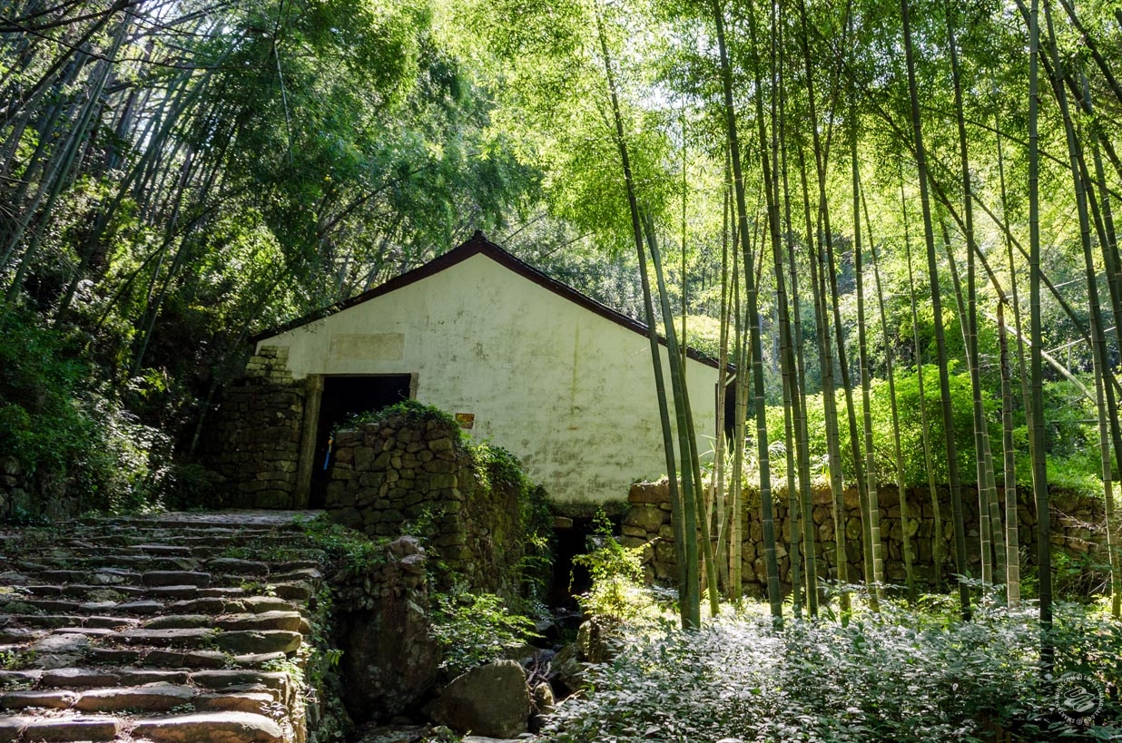Shangqing
